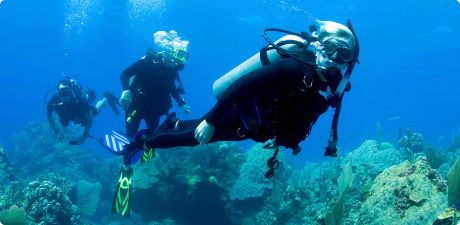 460x225-1-1-Scuba-Diving